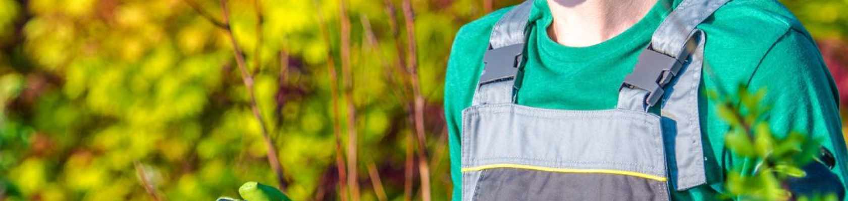 Parks & Recreation visual data 4